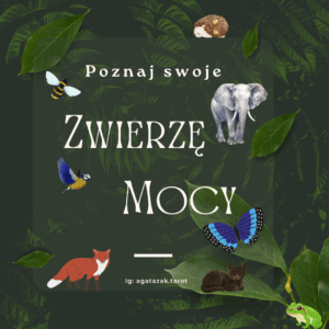 Twoje Zwierzę Mocy